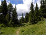 Rifugio Sorgenti del Piave - Monte Peralba